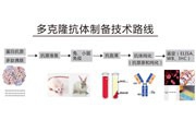 多克隆抗体制备